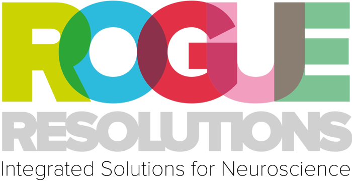 Rogue Resolutions Rogue Resolutions